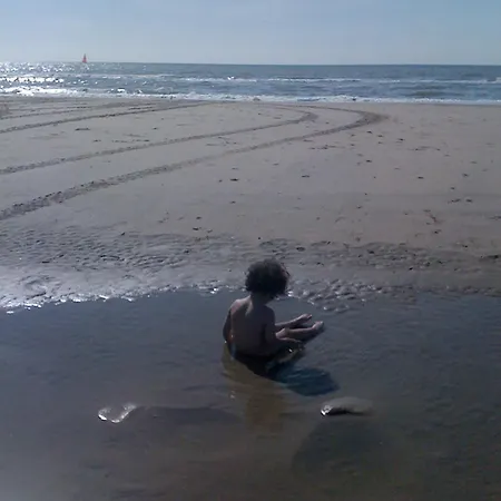 Rose, 1 Free Parking, 2 Min. From Beach, Jacuzzi