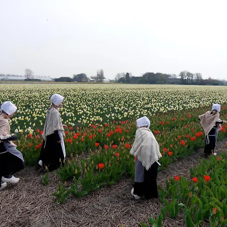 شقة Rose, 1 Free Parking, 2 Min. From Beach, Jacuzzi نوردفيك