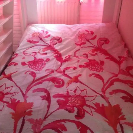 Appartement Rose, 1 Free Parking, 2 Min. From Beach, Jacuzzi *